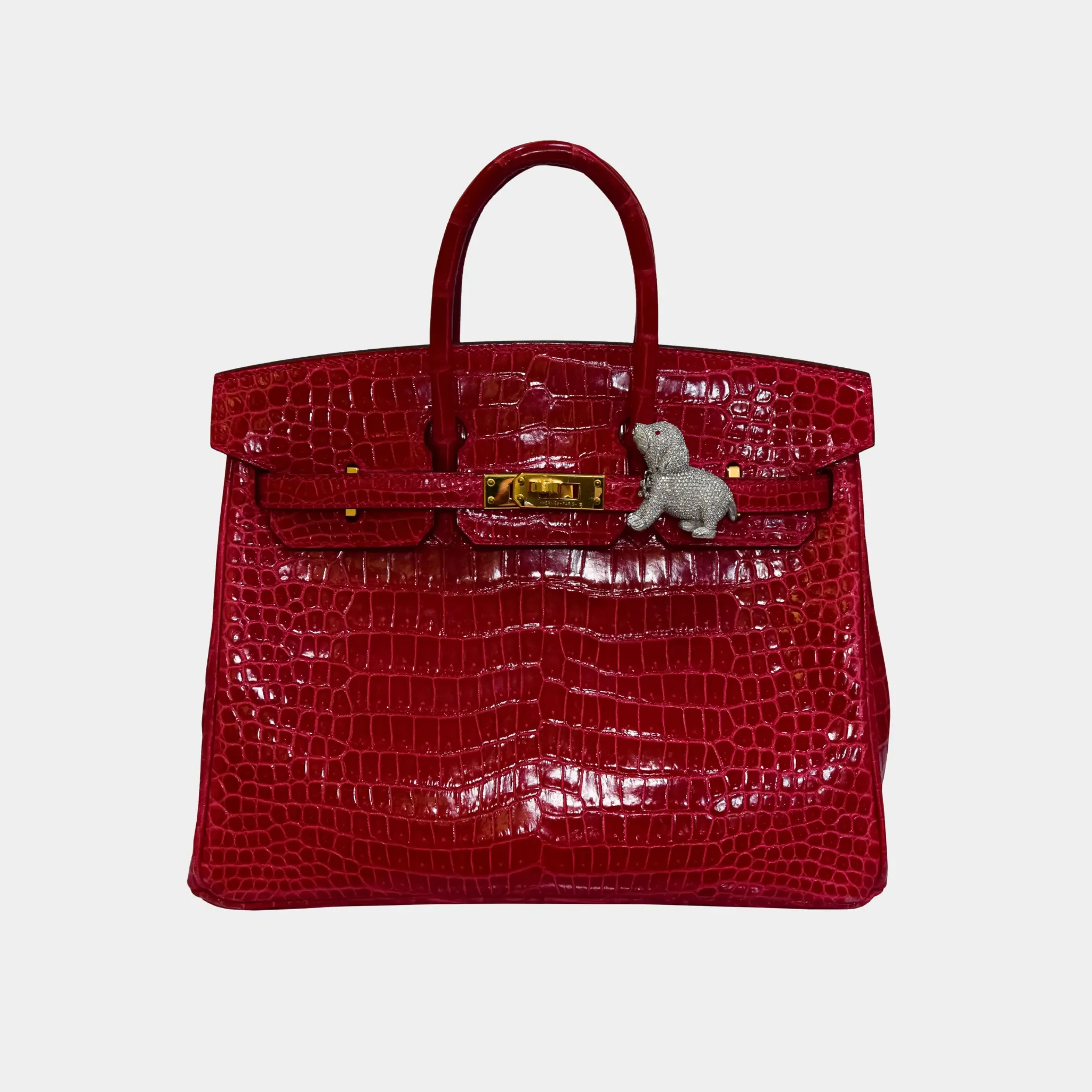 Dog Customized Bag Bijoux - Image 4