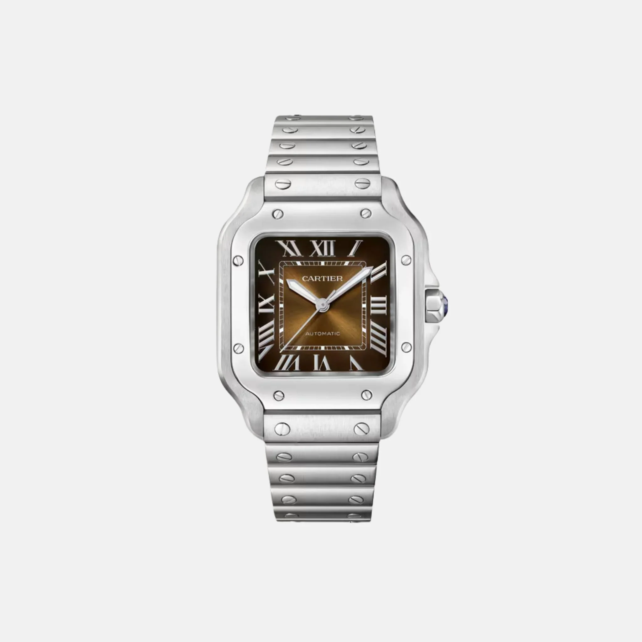 Santos Medium Model Steel Automatic WSSA0065