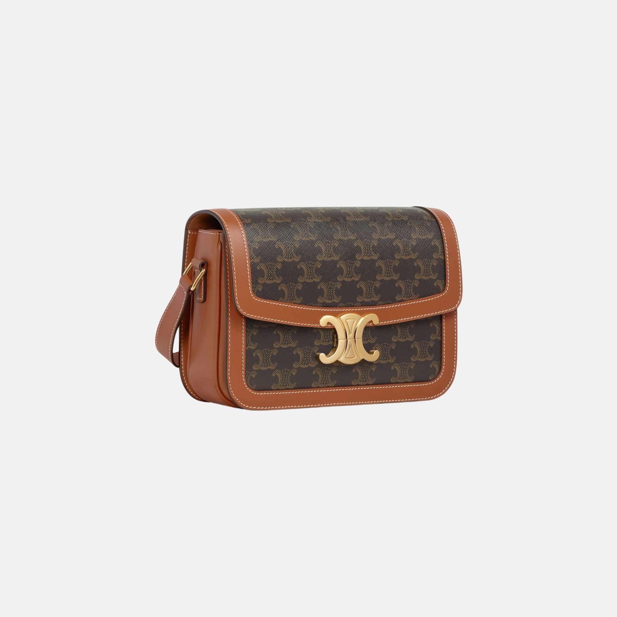 Classique Triomphe Bag In Triomphe Canvas And Calfskin - Image 3