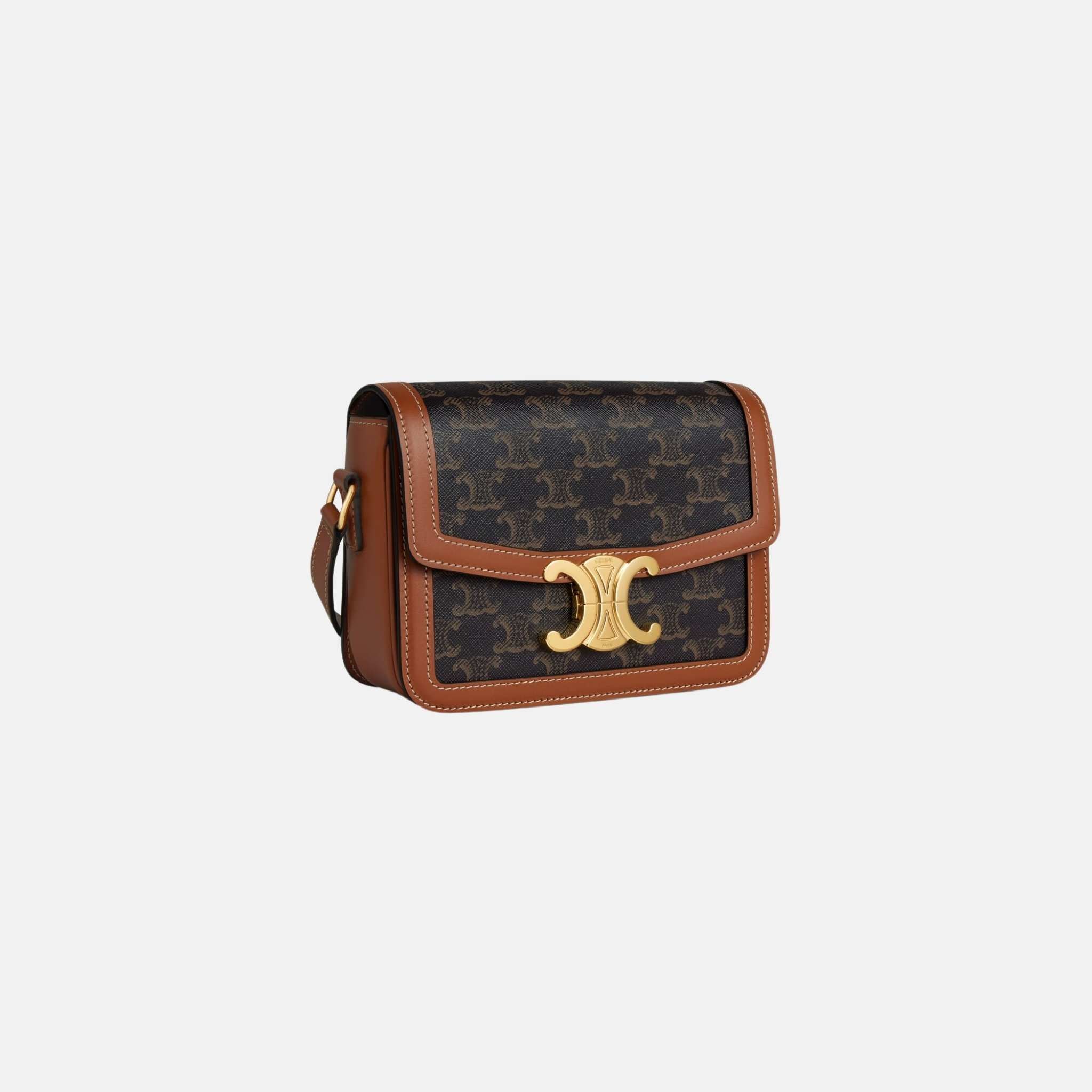 Teen Triomphe Bag In Triomphe Canvas And Calfskin - Image 3