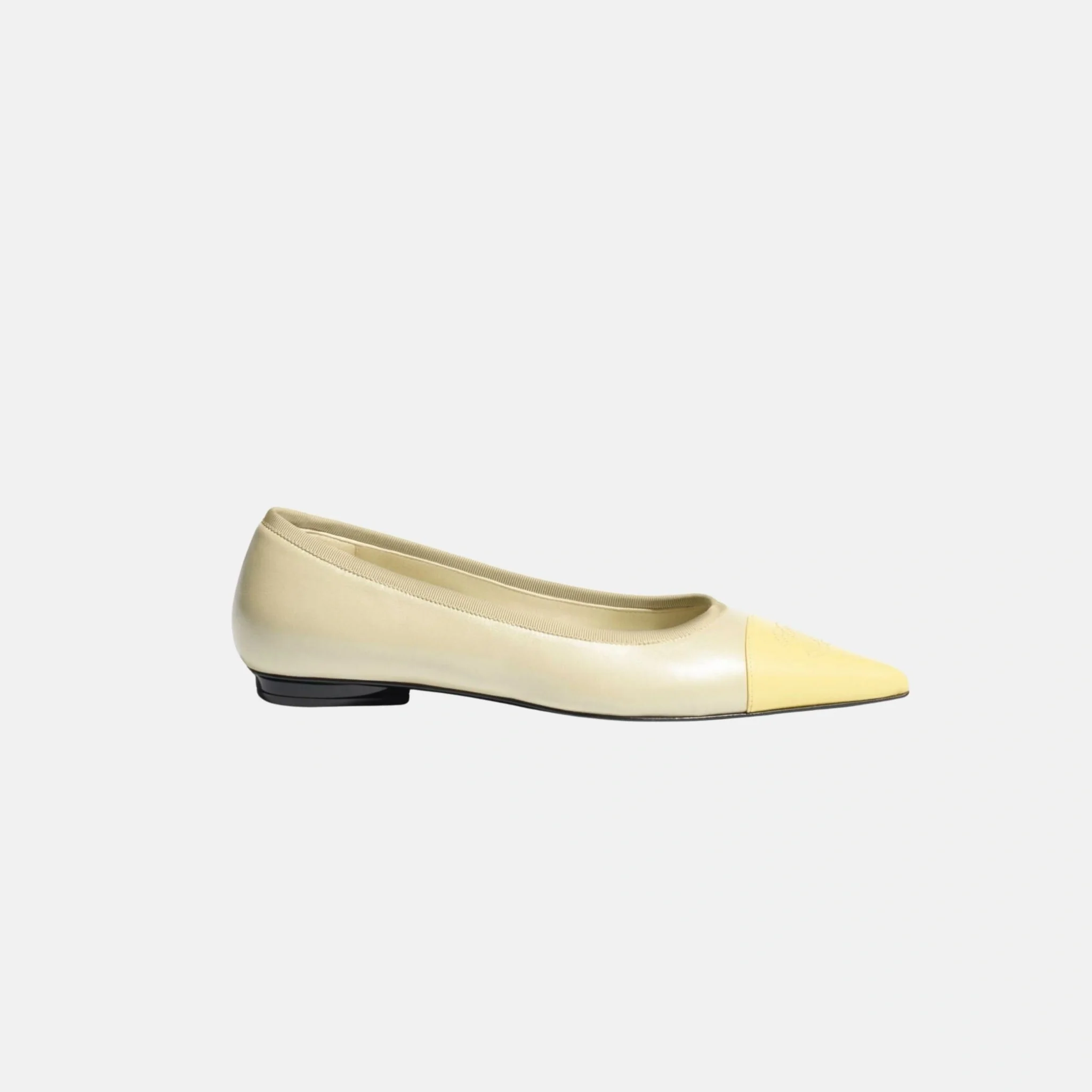 Ballet Flats in Iridescent Lambskin