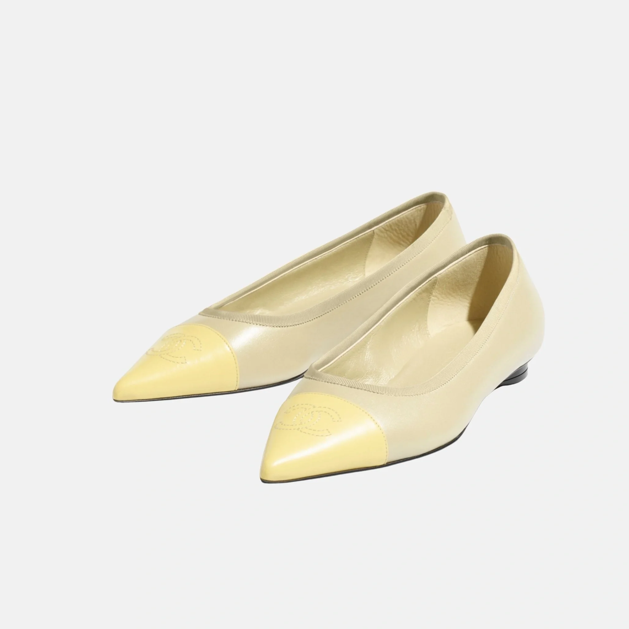 Ballet Flats in Iridescent Lambskin - Image 2