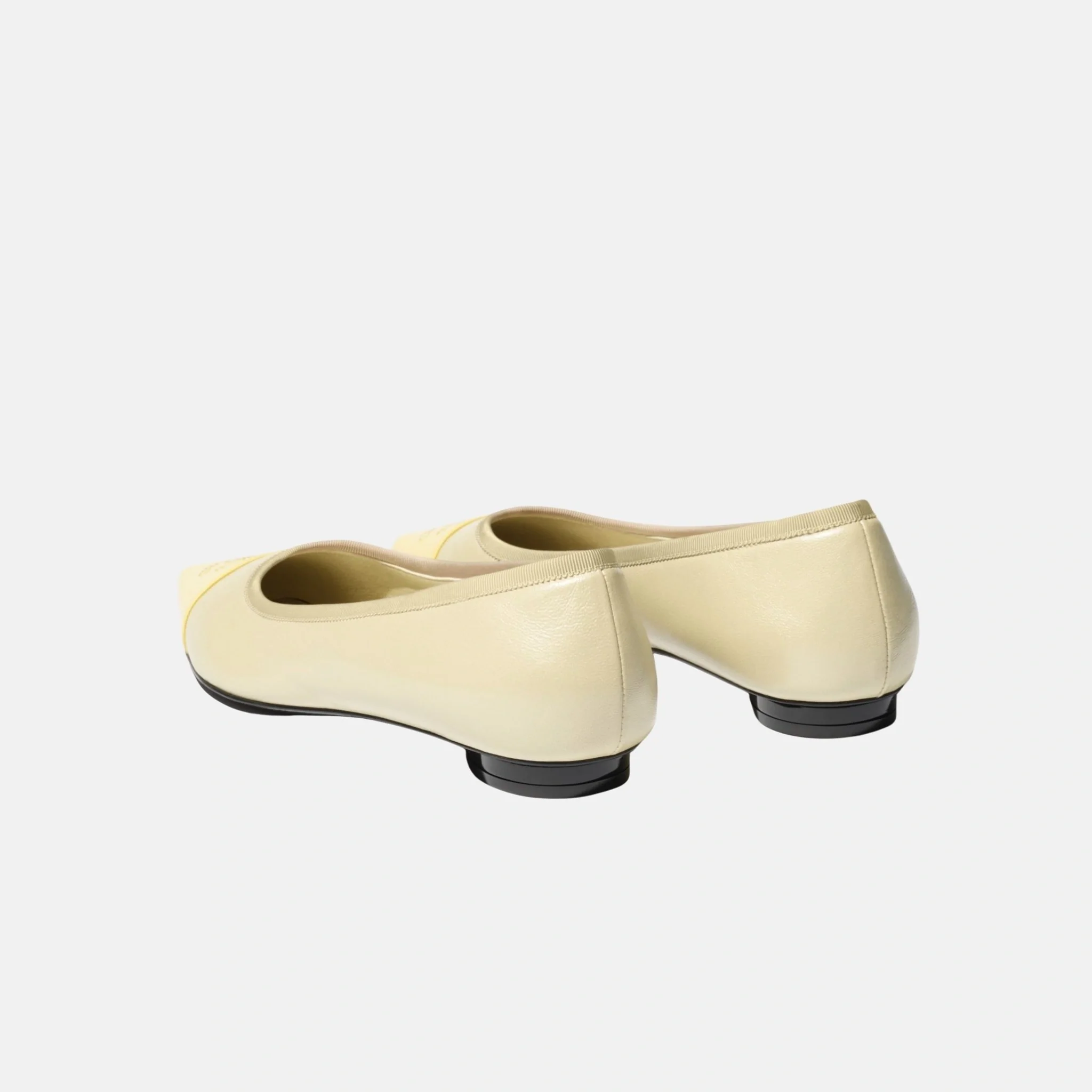 Ballet Flats in Iridescent Lambskin - Image 3