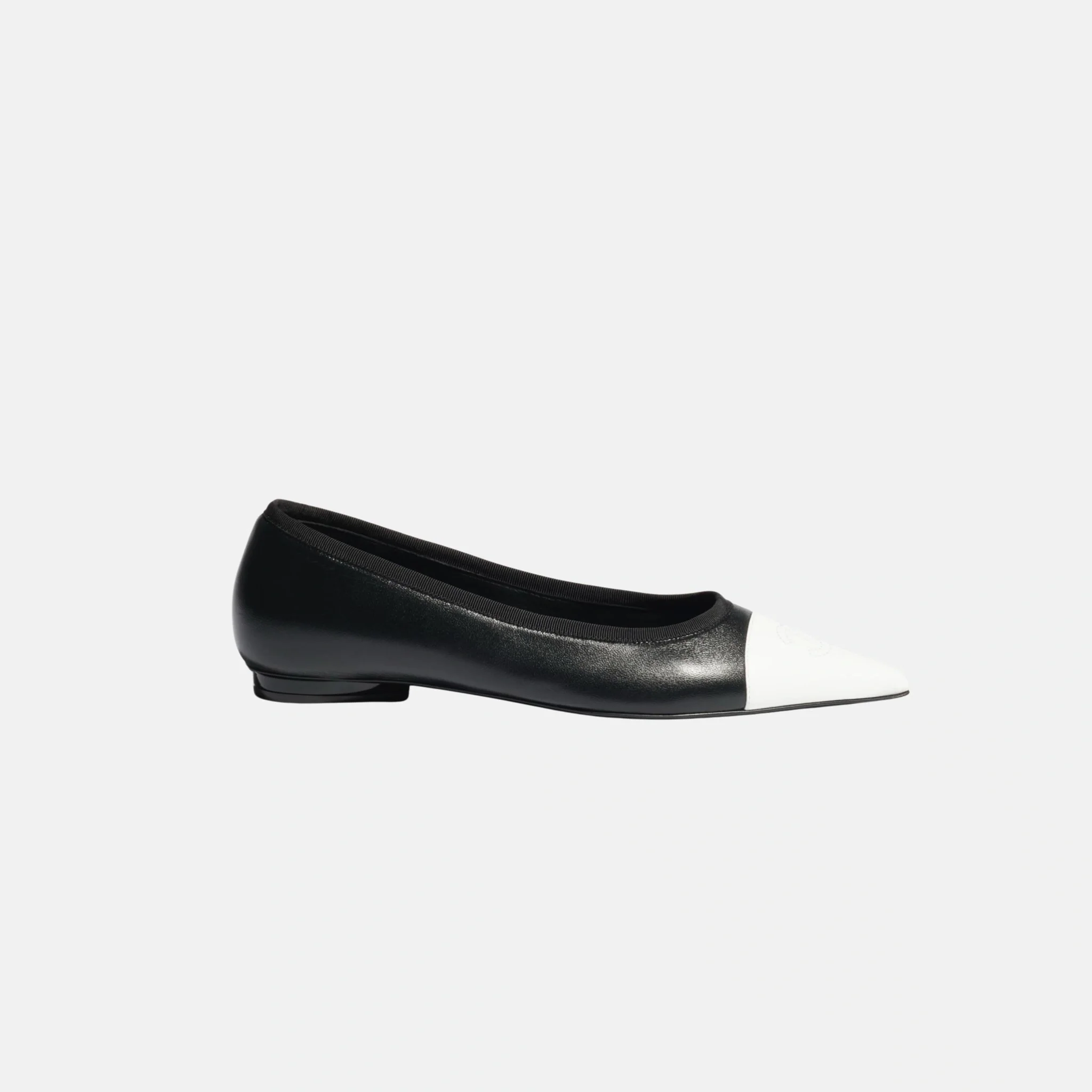Ballet Flats in Iridescent Lambskin - Image 4
