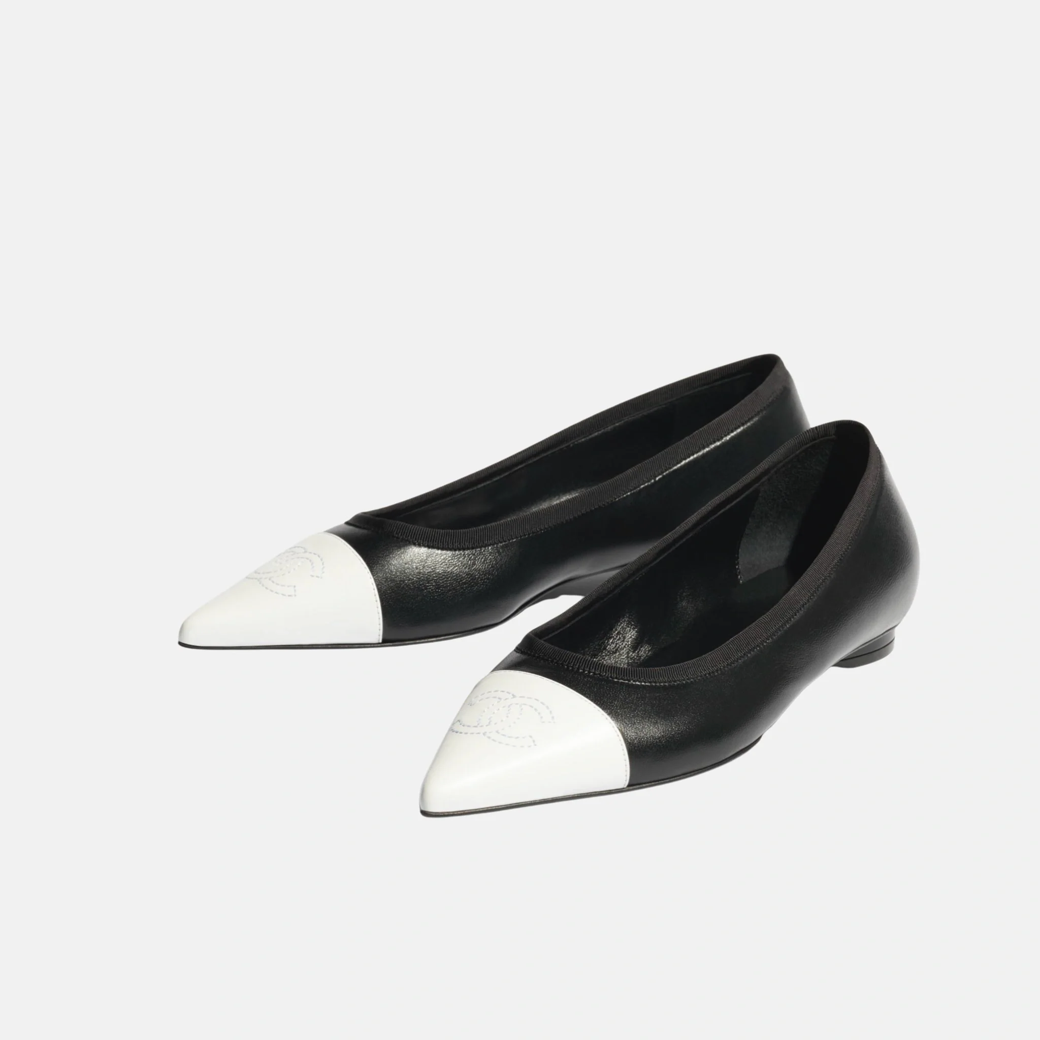 Ballet Flats in Iridescent Lambskin - Image 5
