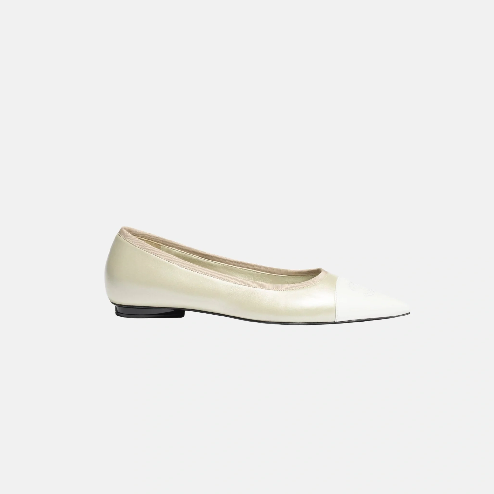 Ballet Flats in Iridescent Lambskin - Image 6