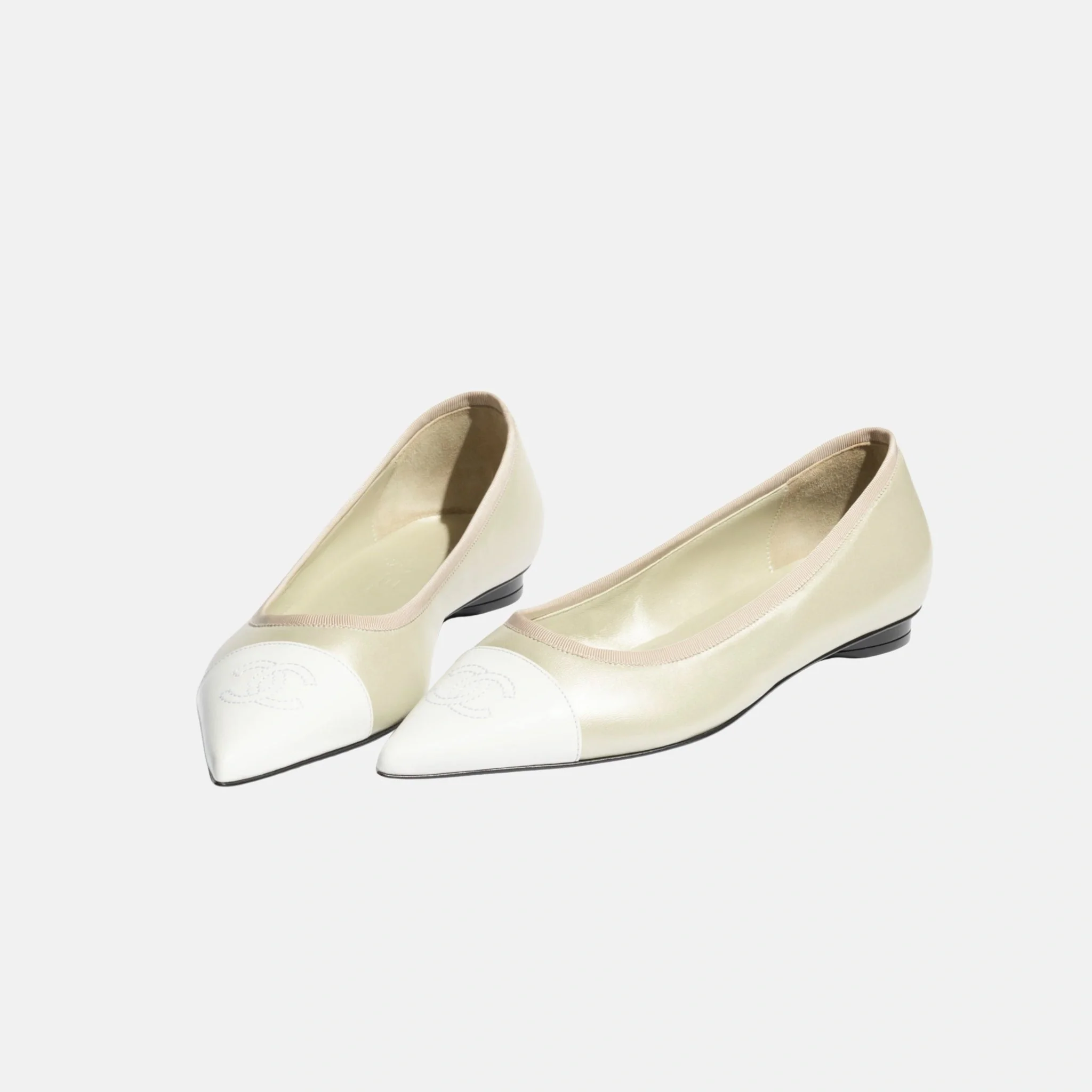 Ballet Flats in Iridescent Lambskin - Image 7