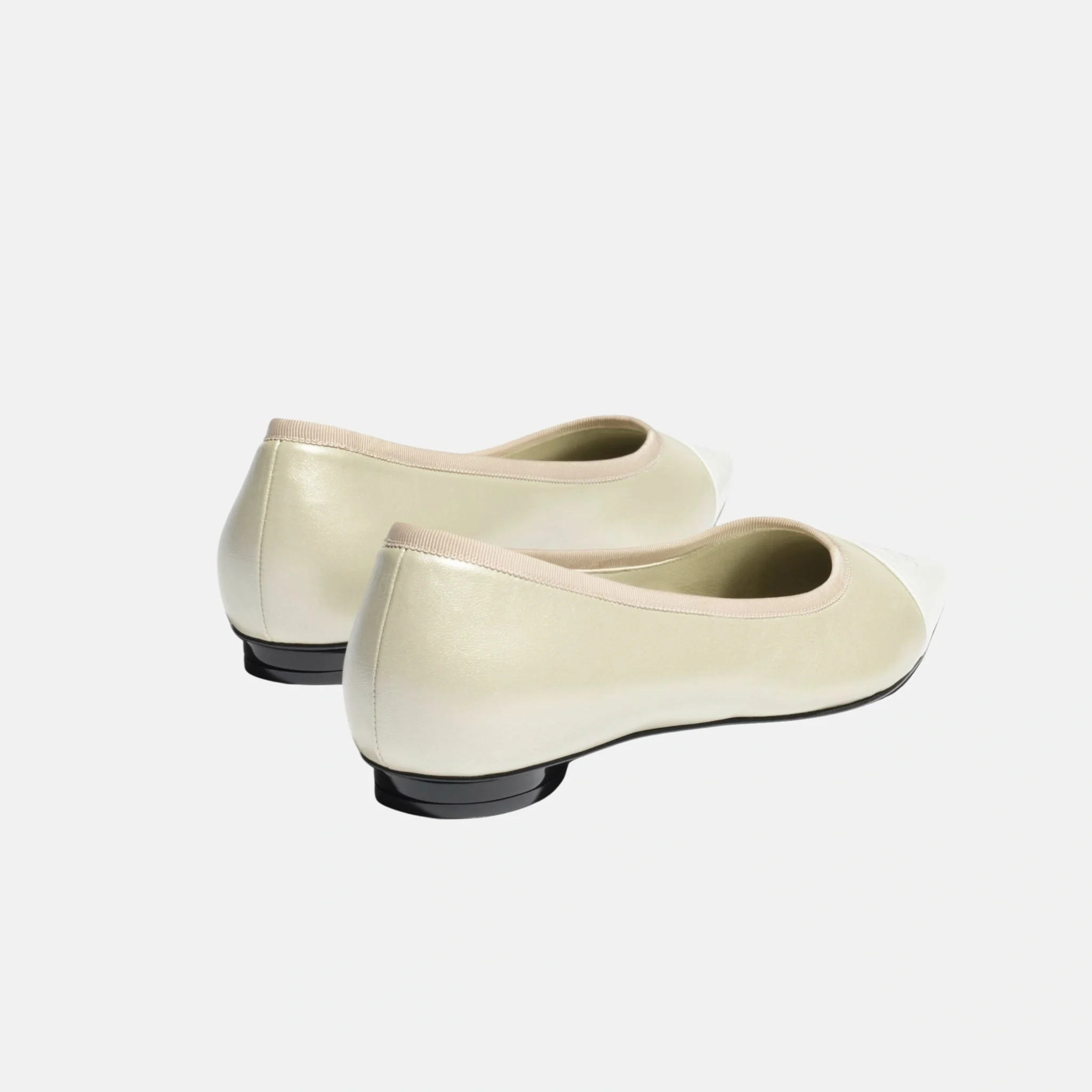 Ballet Flats in Iridescent Lambskin - Image 8