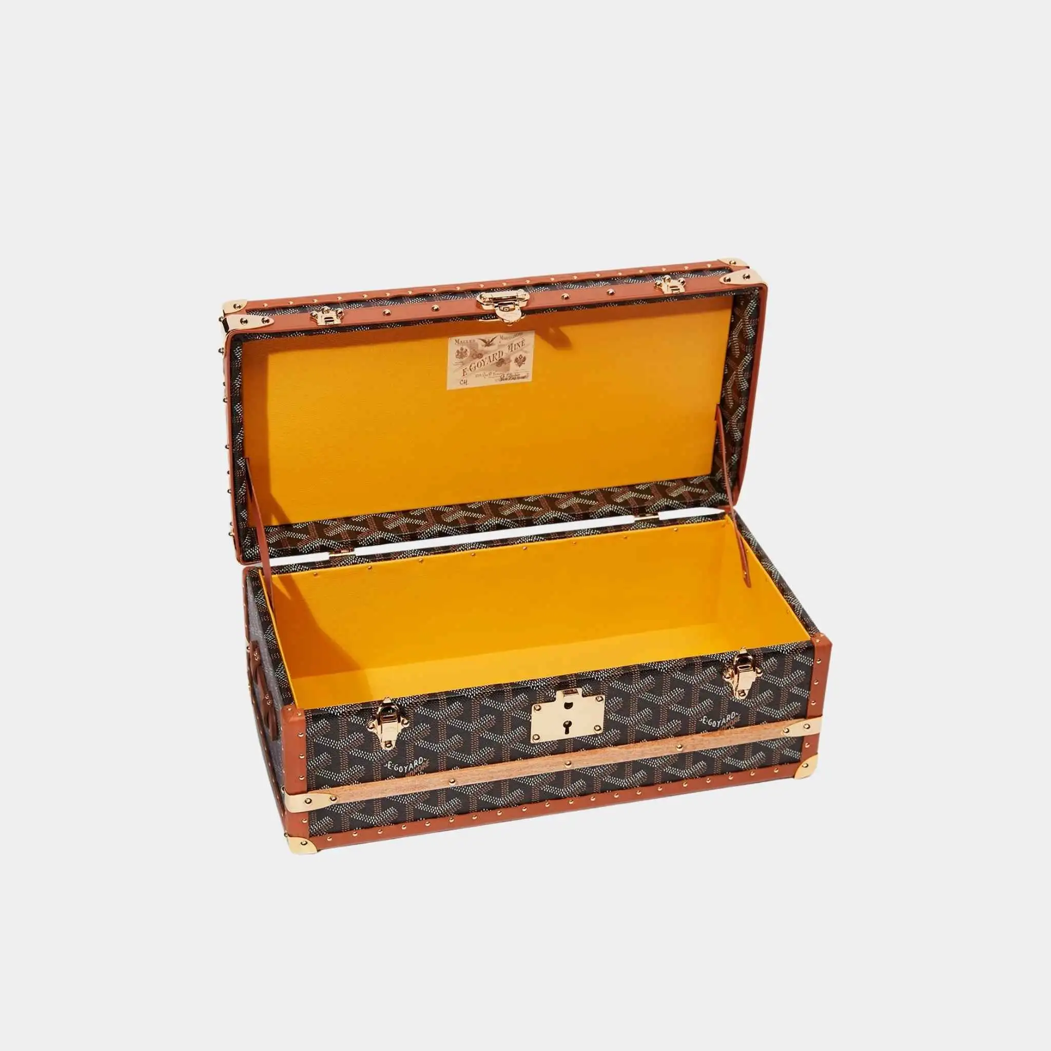 352 Case with Two Trunk Clasps - Image 4