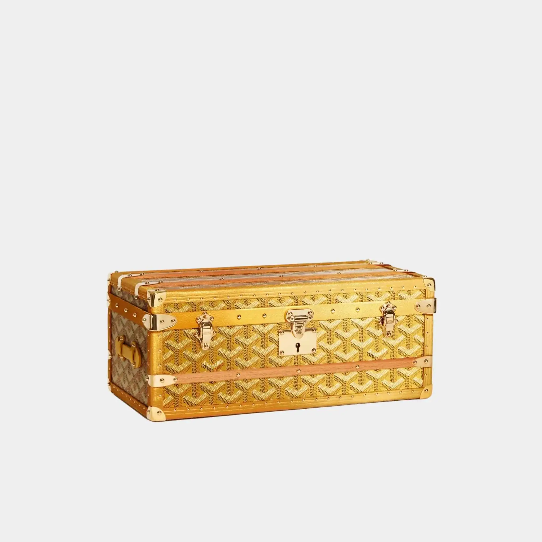 352 Case with Two Trunk Clasps - Image 5