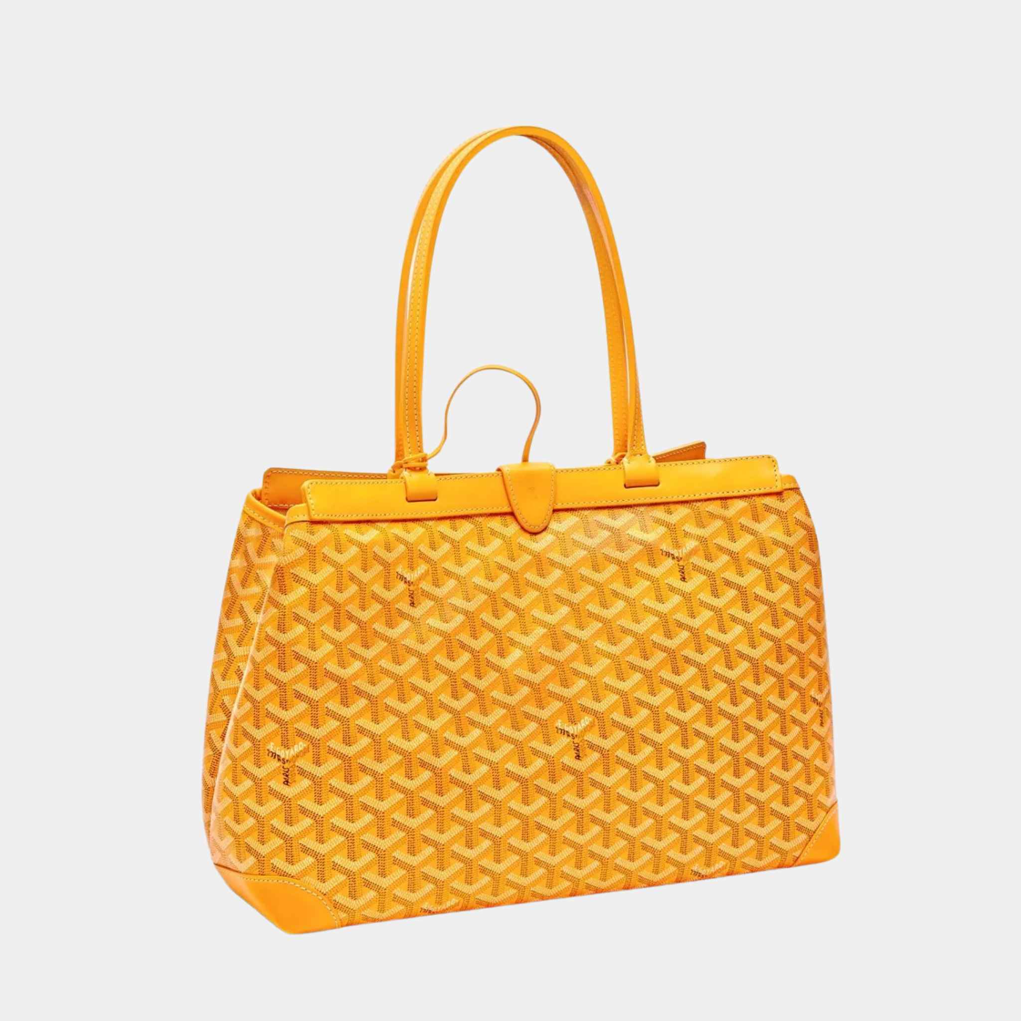 Bellechasse Biaude PM Bag - Image 7