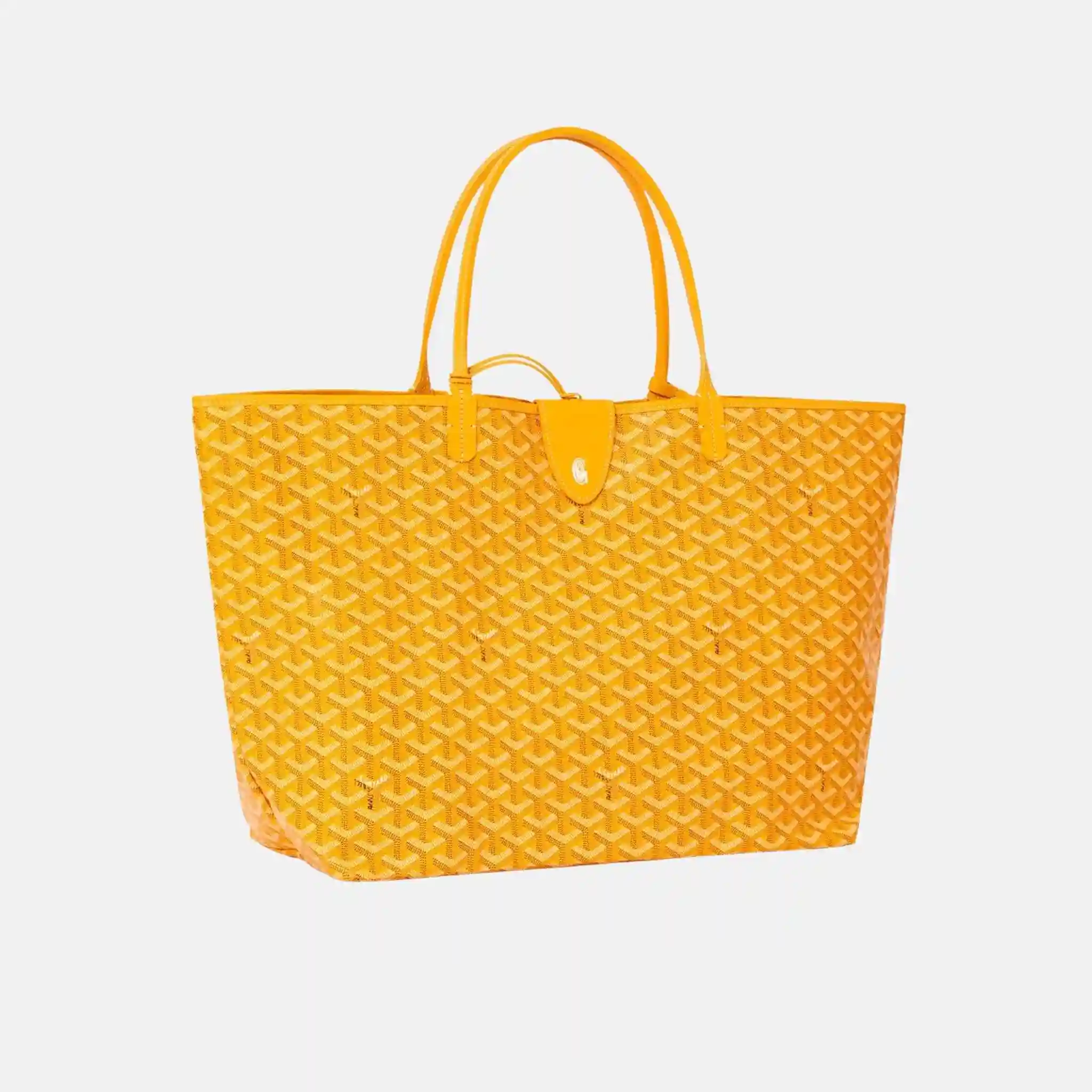 Saint Louis GM Bag - Image 10