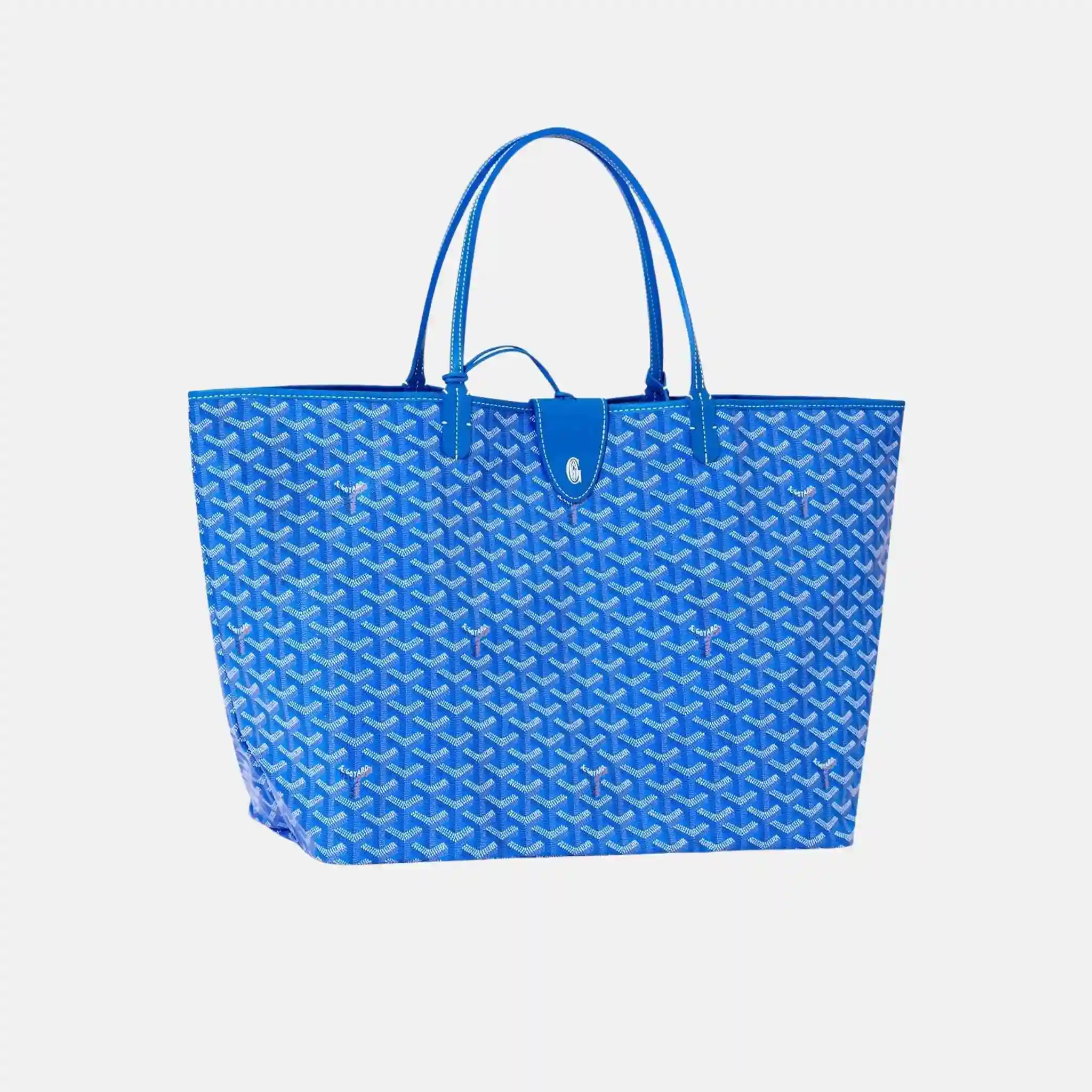 Saint Louis GM Bag - Image 14