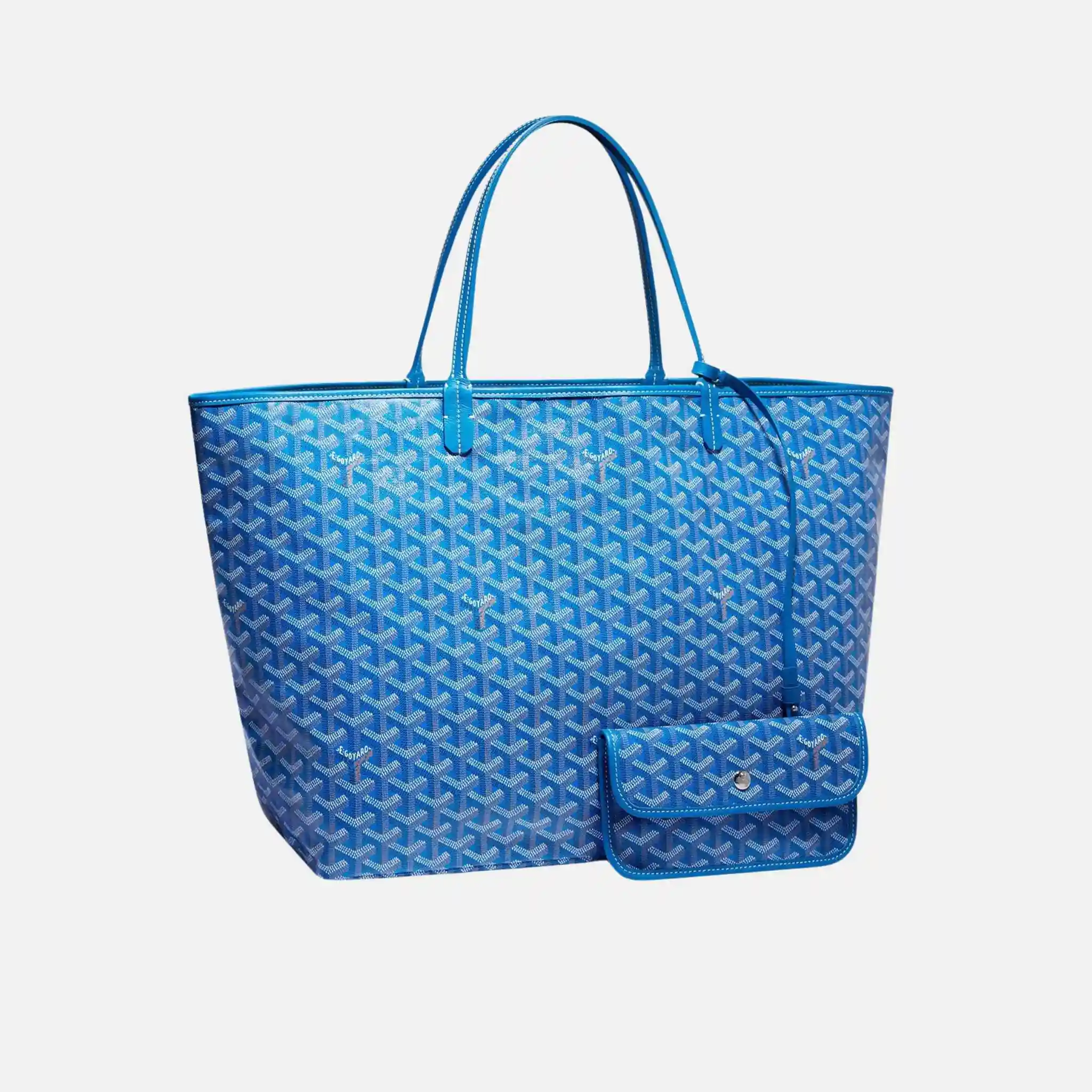 Saint Louis GM Bag - Image 15