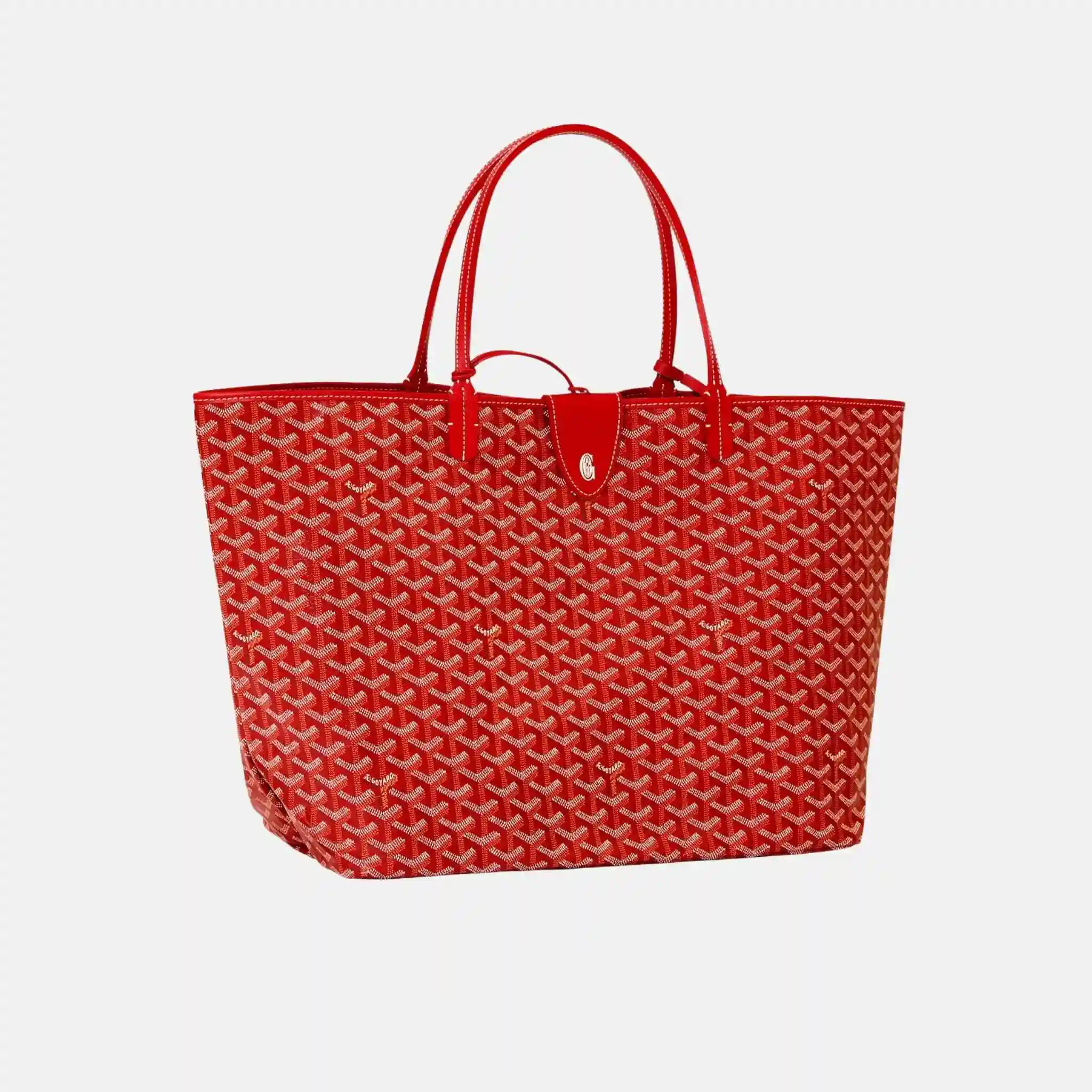 Saint Louis GM Bag - Image 6