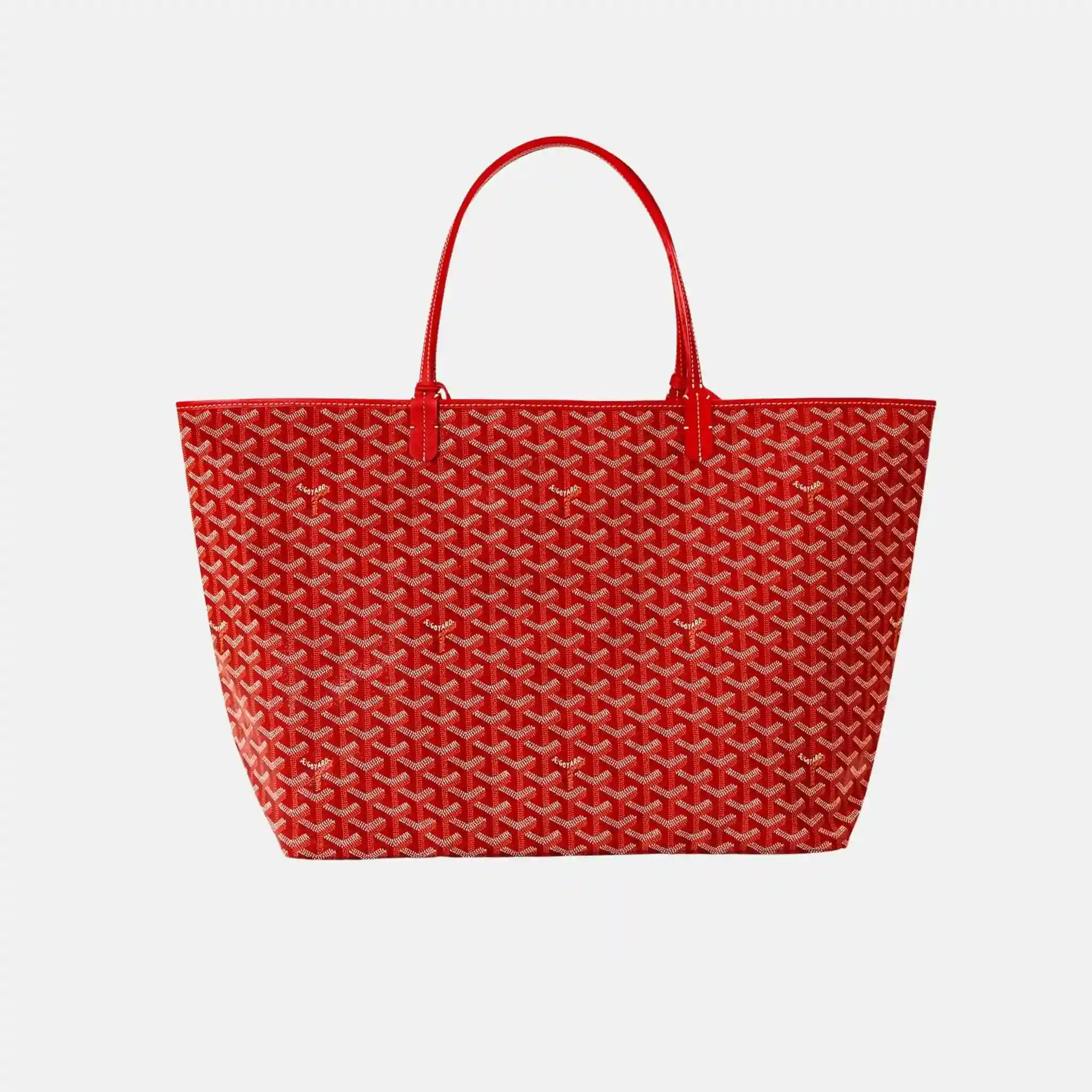 Saint Louis GM Bag - Image 7