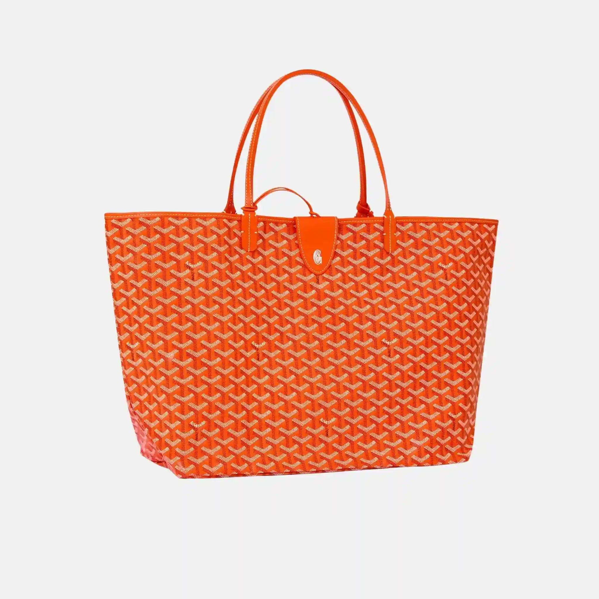 Saint Louis GM Bag - Image 8