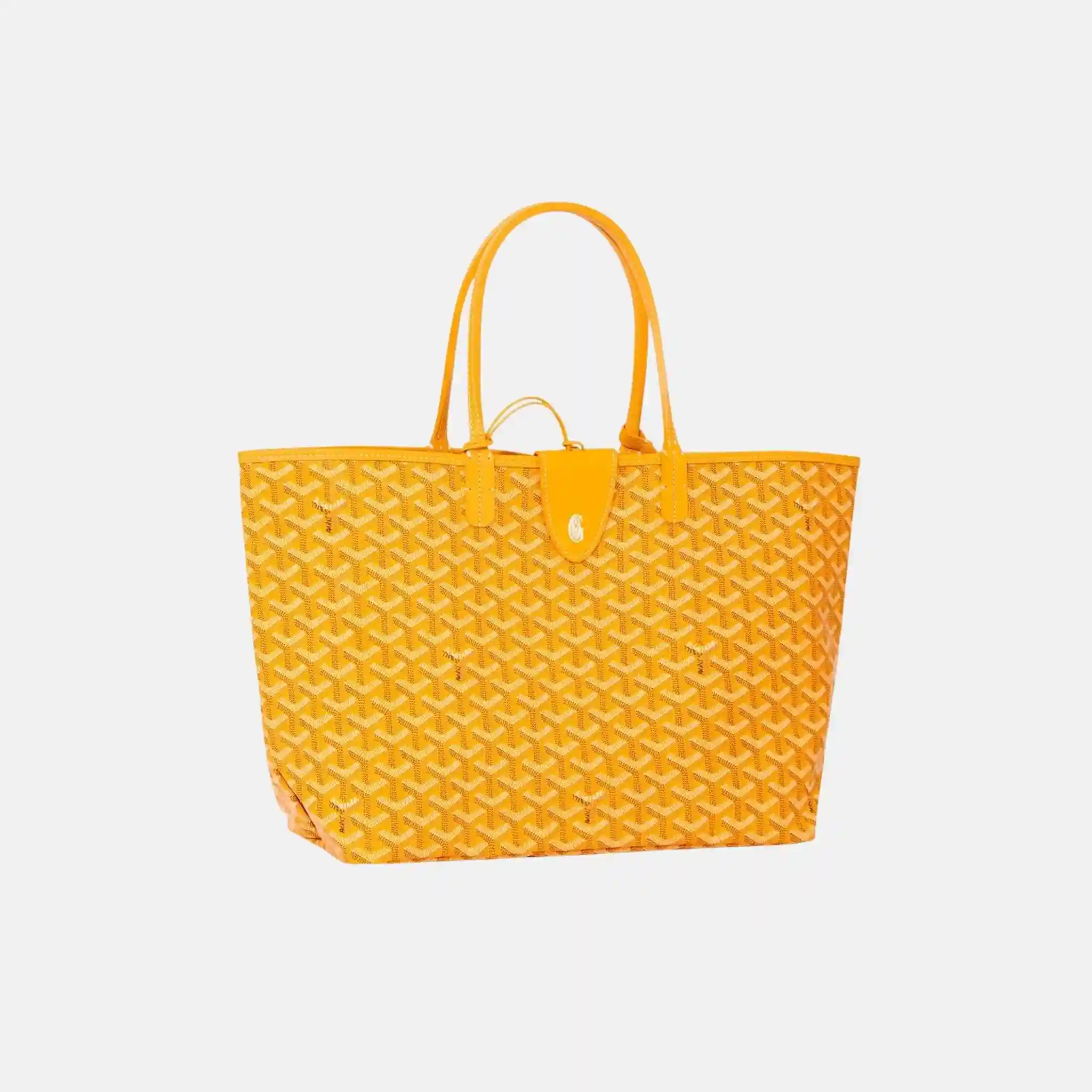 Saint Louis PM Bag - Image 10