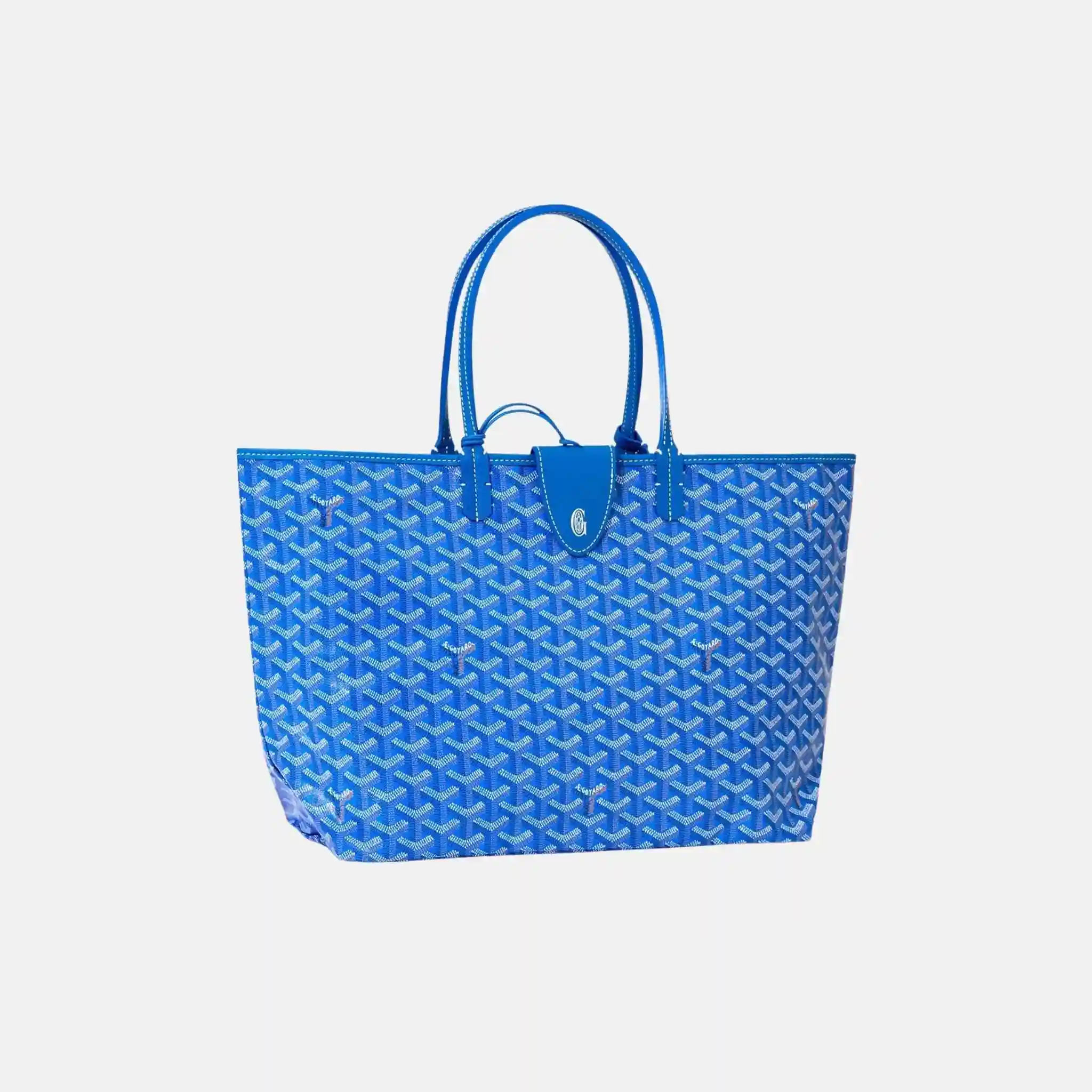 Saint Louis PM Bag - Image 14