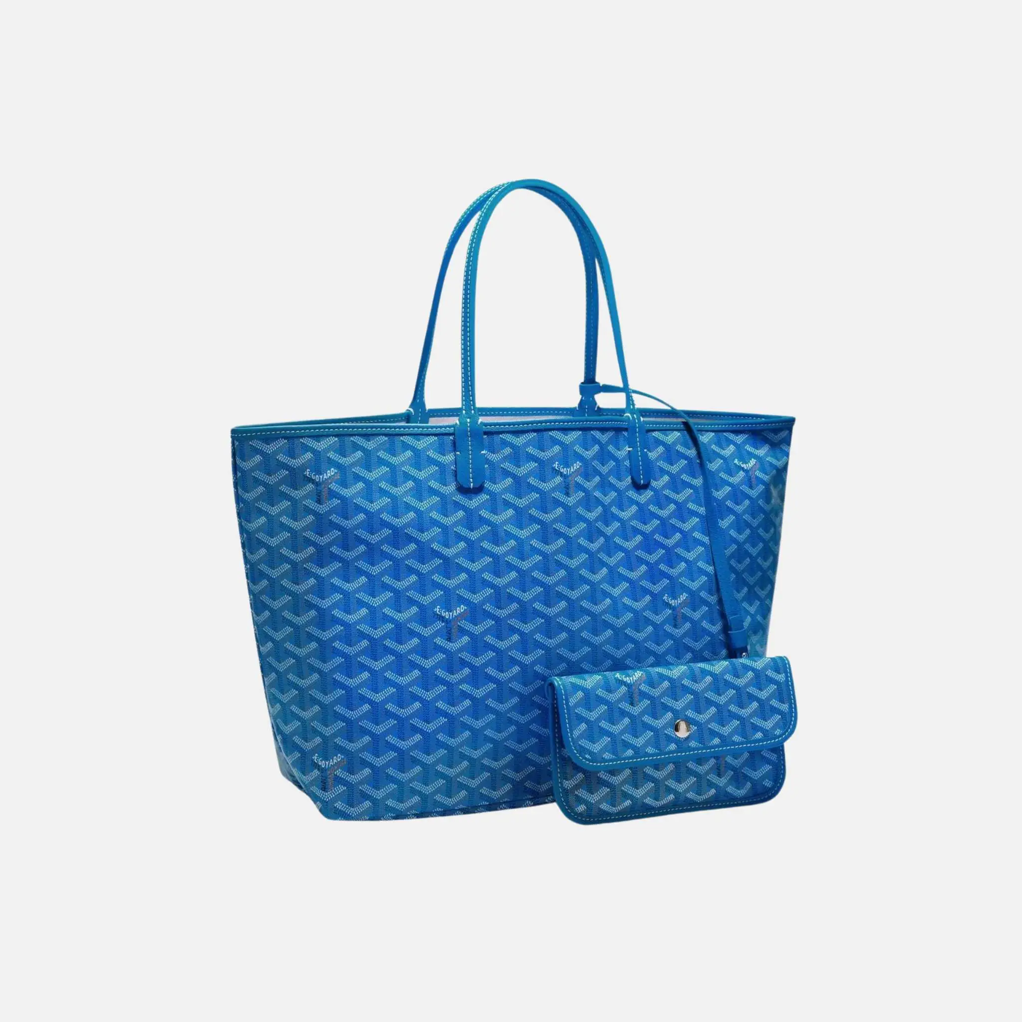 Saint Louis PM Bag - Image 15