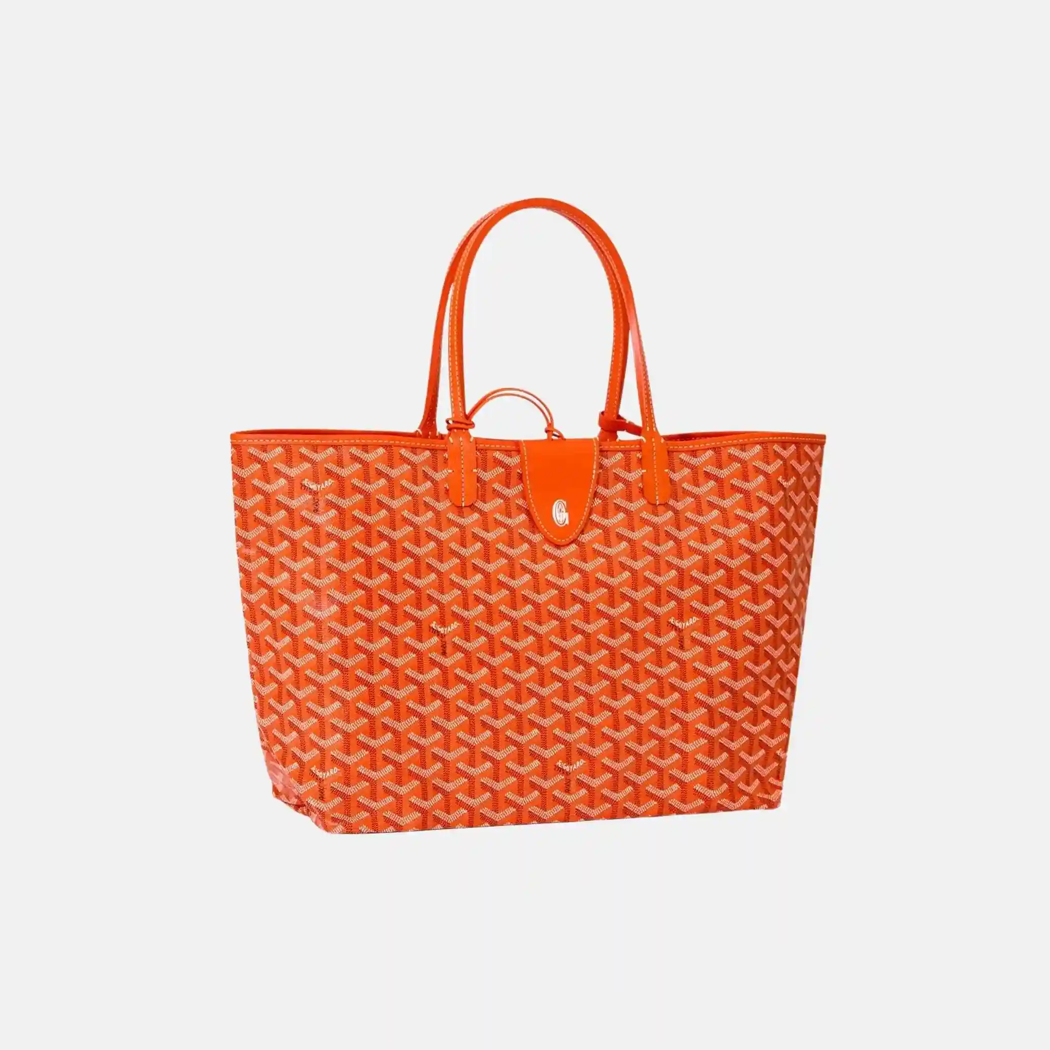 Saint Louis PM Bag - Image 8