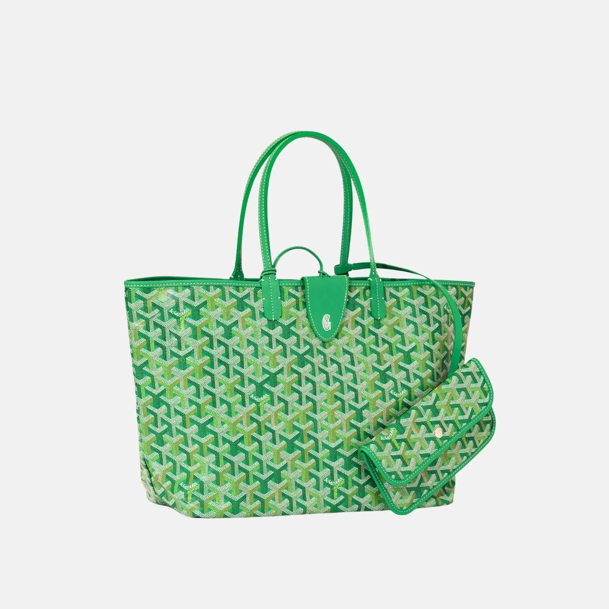 Saint Louis PM Bag Multicoloured Limited Edition - Image 4