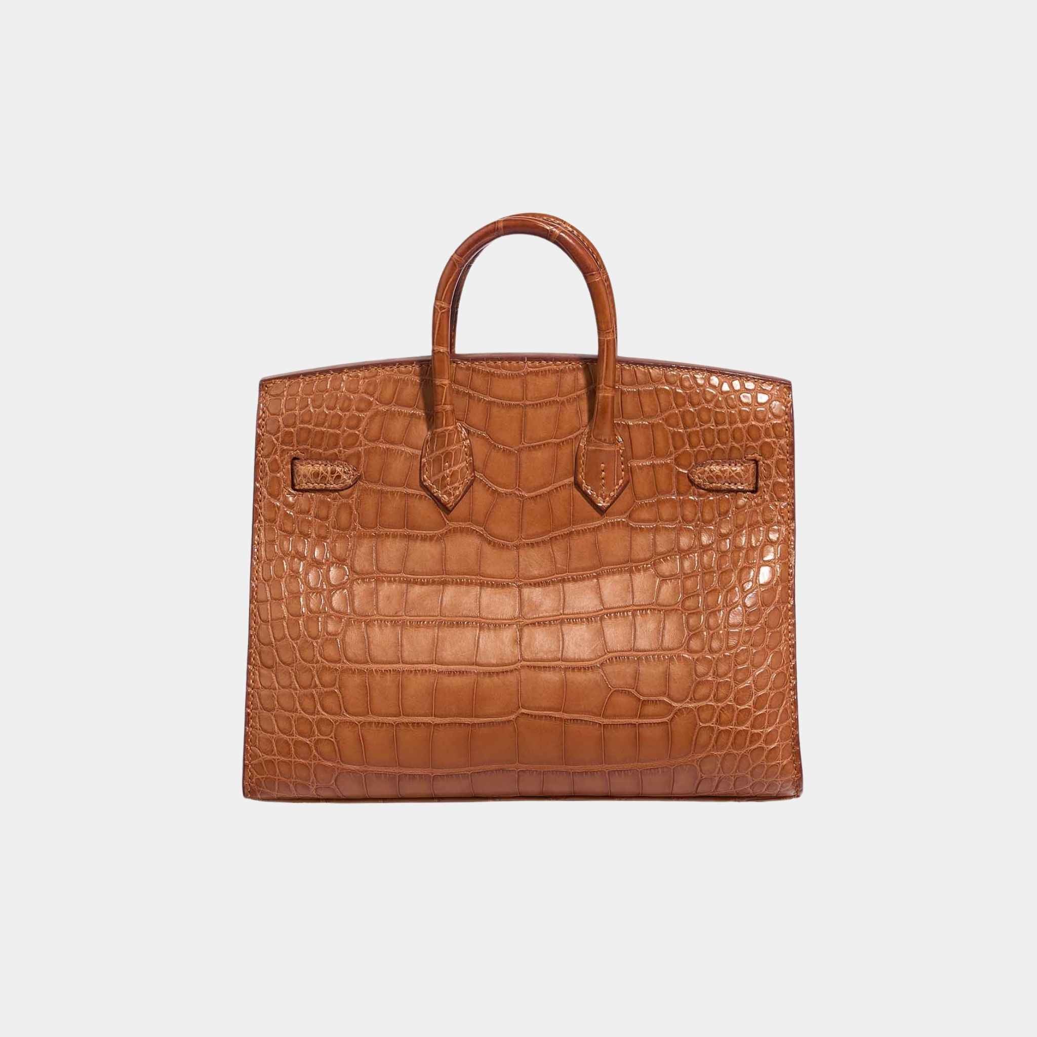 Birkin 20 Alligator Mississippi Gold GHW - Image 2