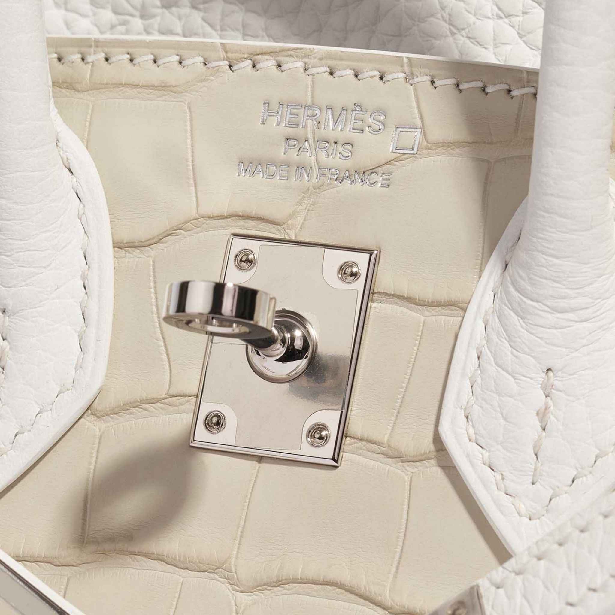 Birkin 20 Faubourg Snow White Sous La Neige PHW - Image 4