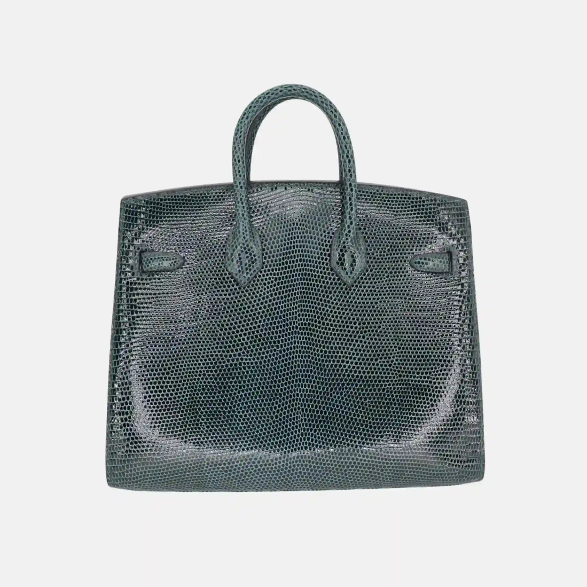 Birkin 20 Lizard Vert Cypres GHW - Image 2