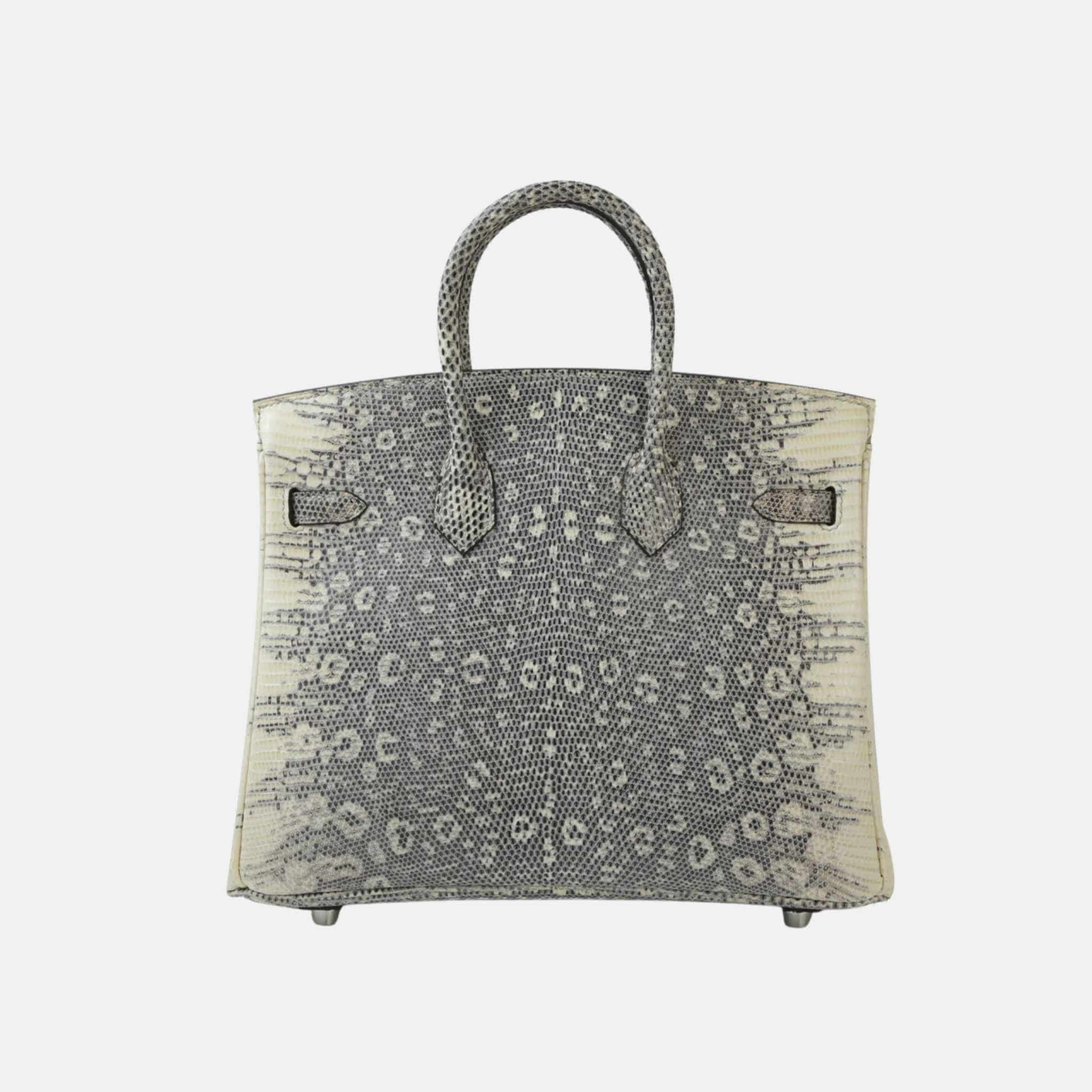 Birkin 25 Lizard Ombre PHW - Image 2