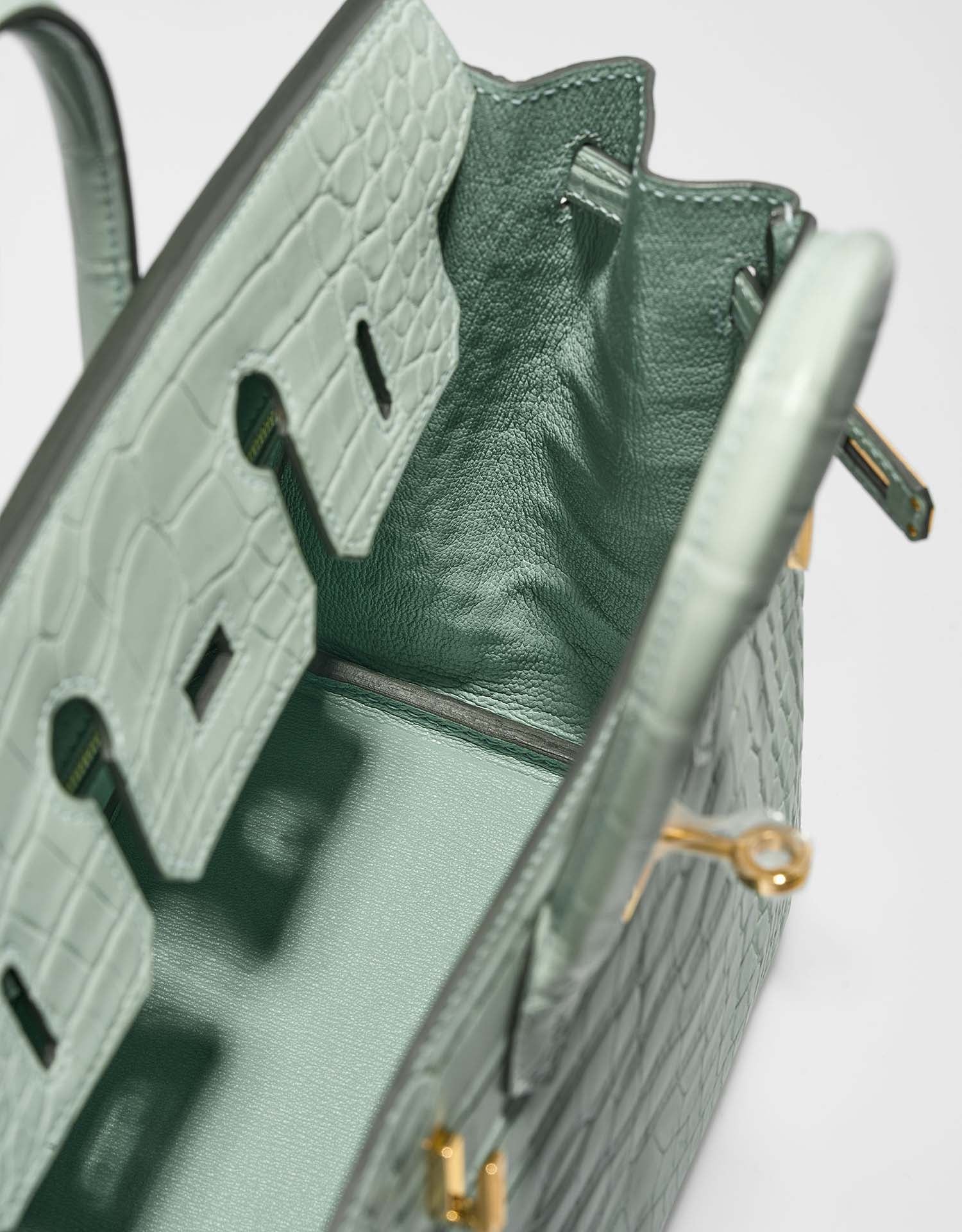 Birkin 25 Matte Alligator Vert d'Eau GHW - Image 8