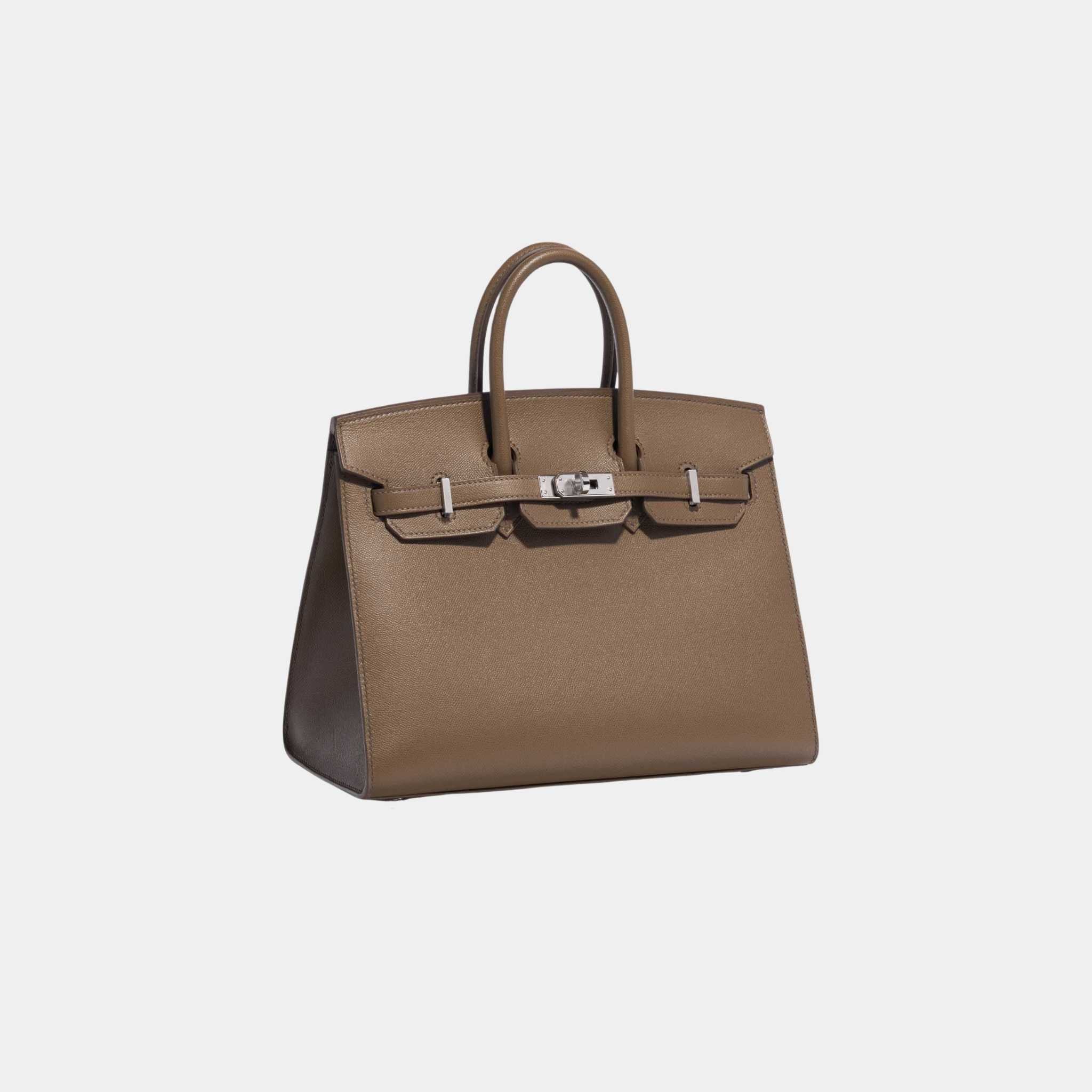 Birkin 25 Veau Madame Toundra PHW - Image 4