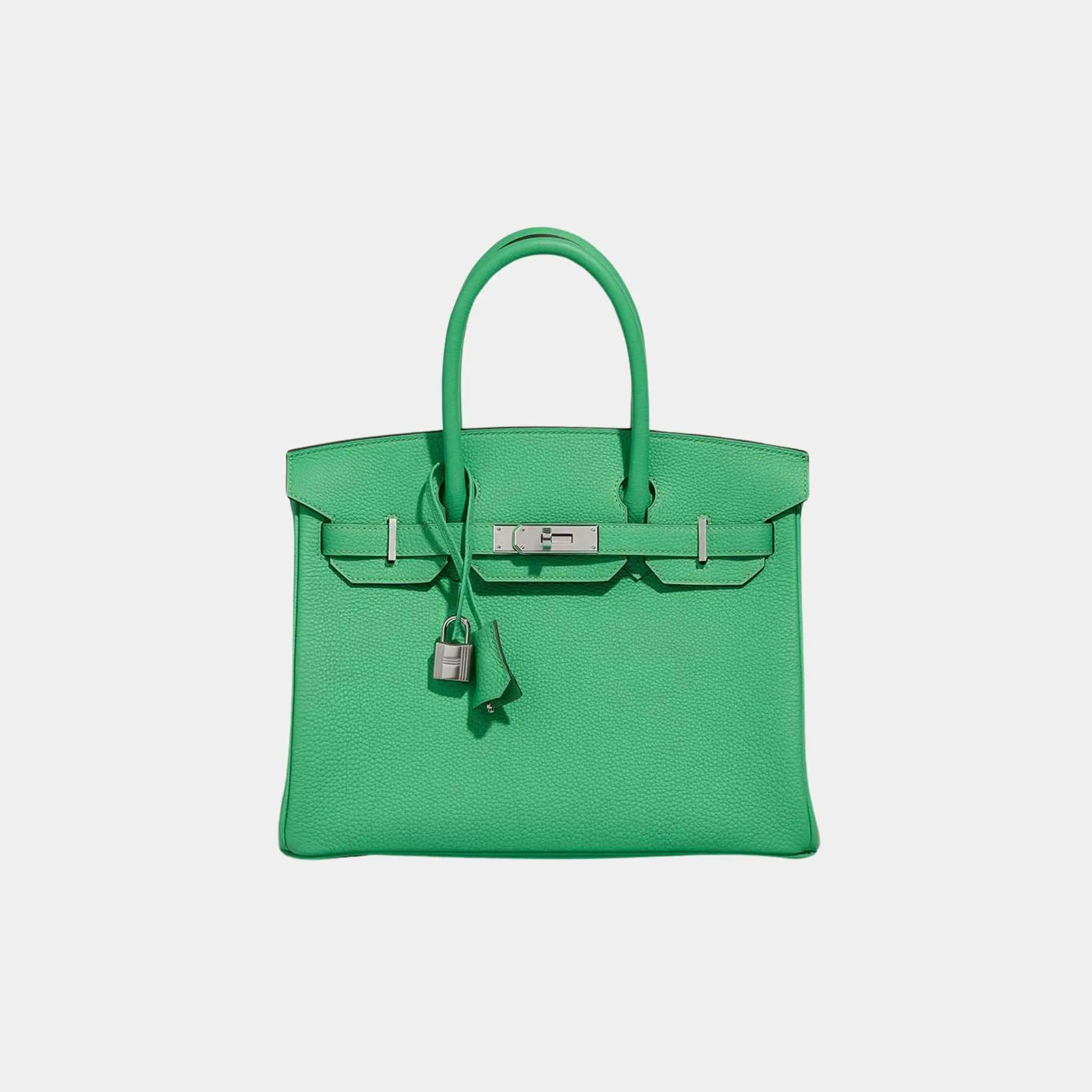 Birkin 30 Togo Vert Comics PHW