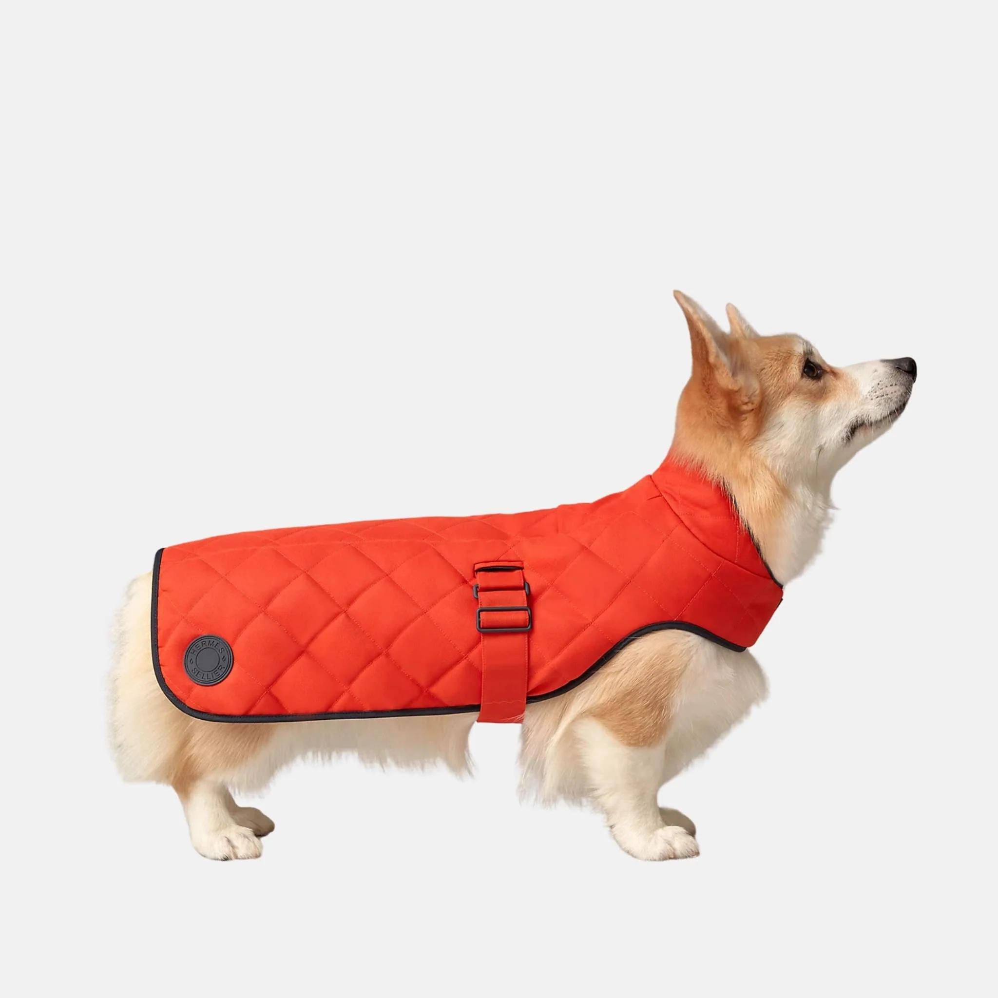 Luxury Dog Coat In Polyester