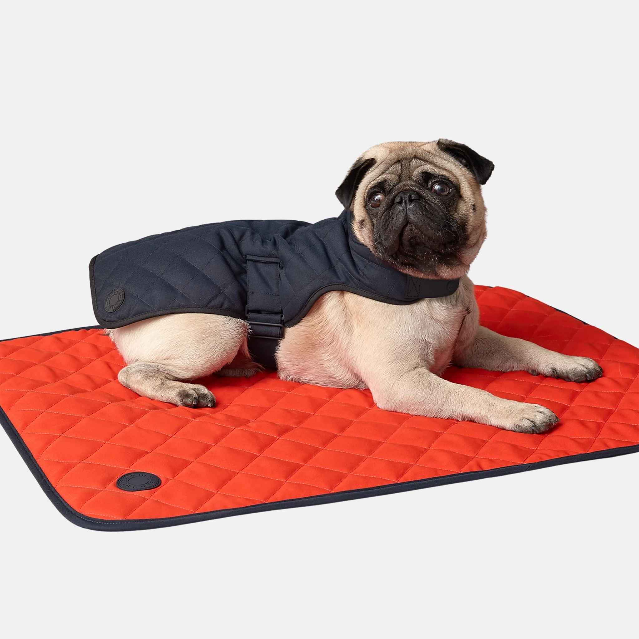 Luxury Dog Coat In Polyester - Image 2