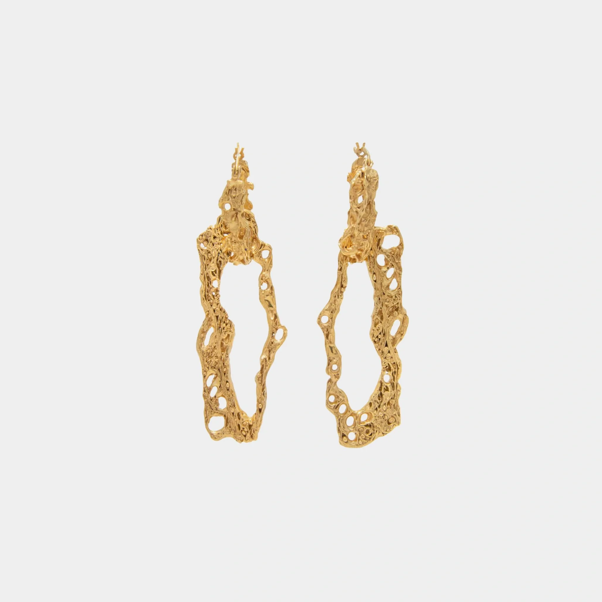 Espostoa Gold Earrings