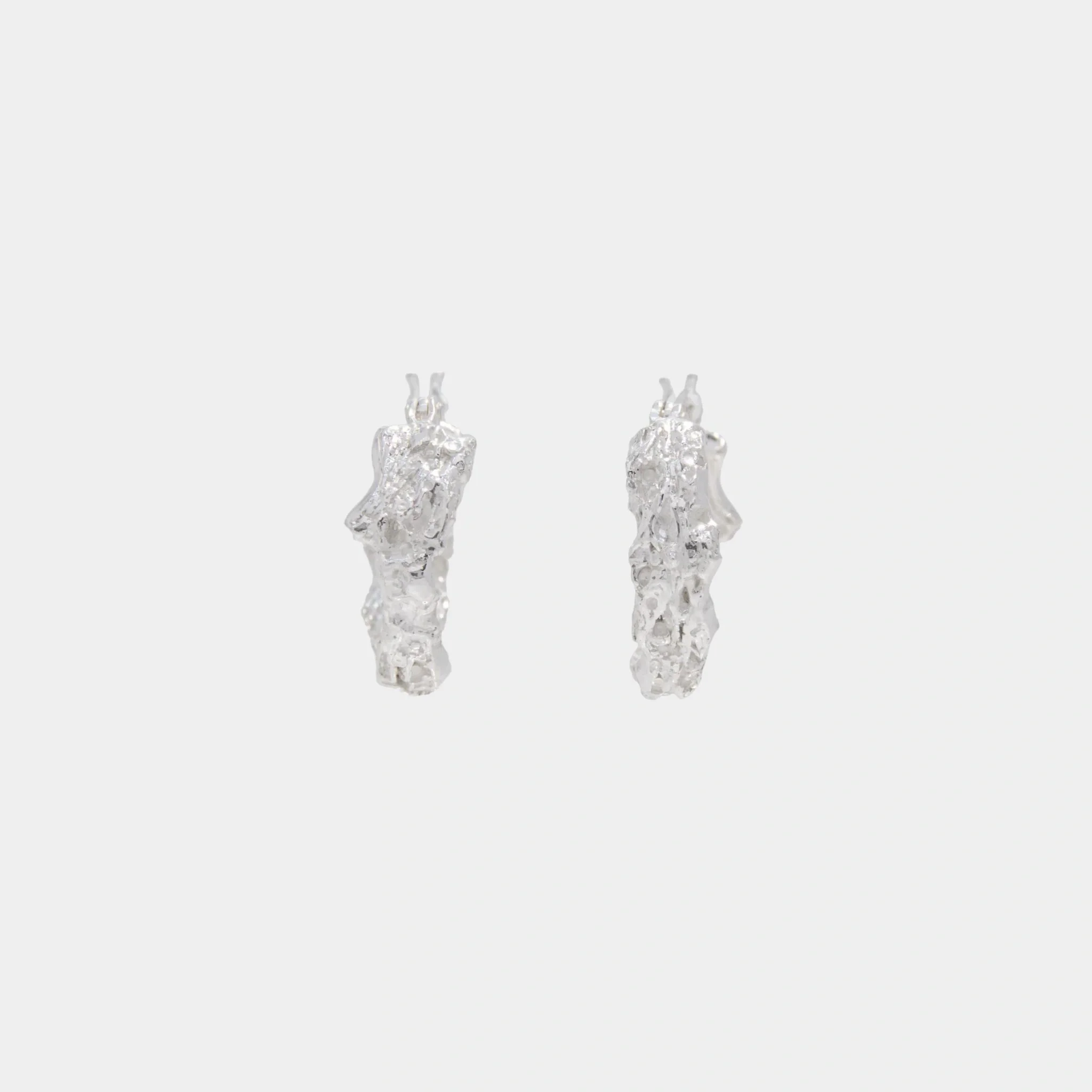 Rebutia Small Earrings - Image 4
