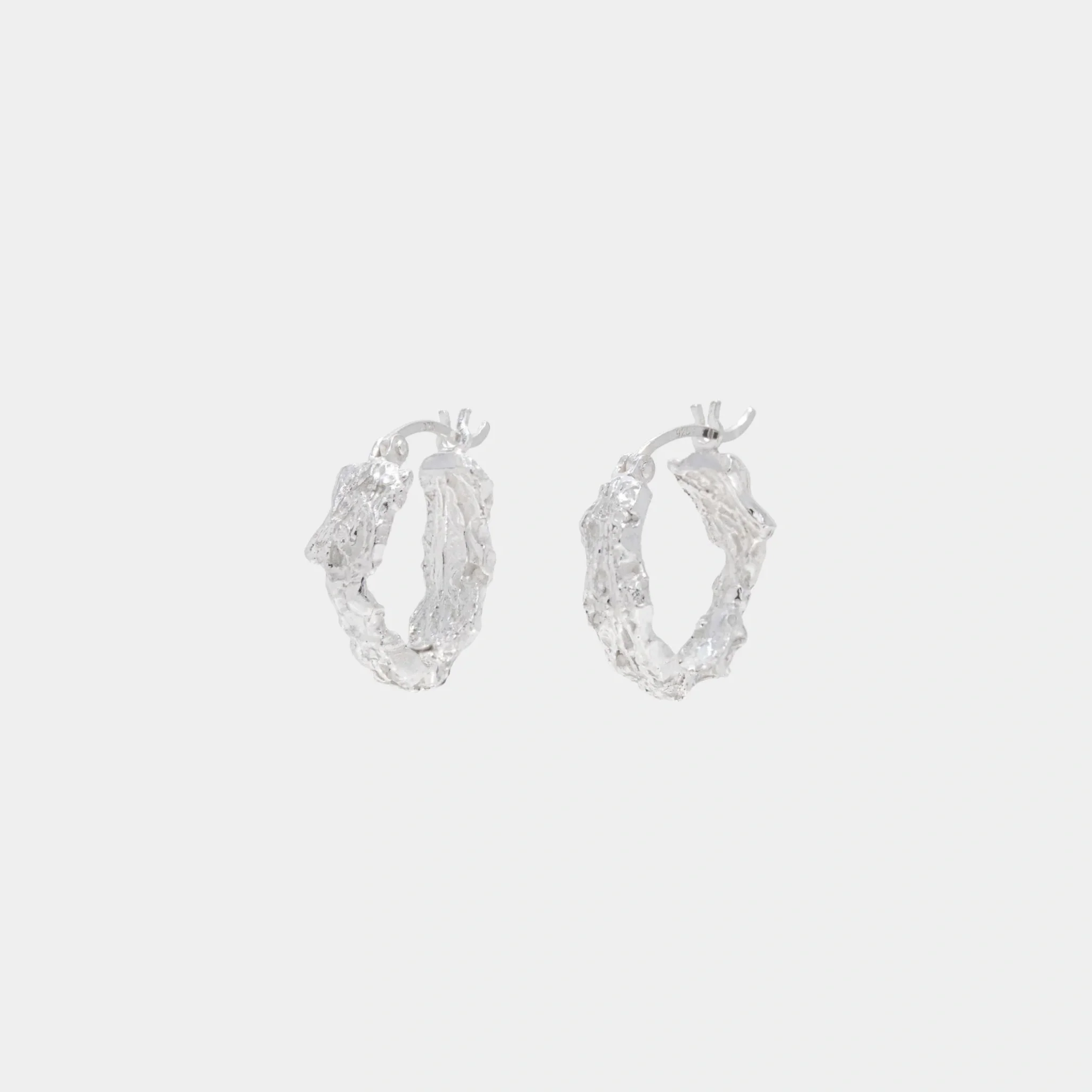 Rebutia Small Earrings - Image 5